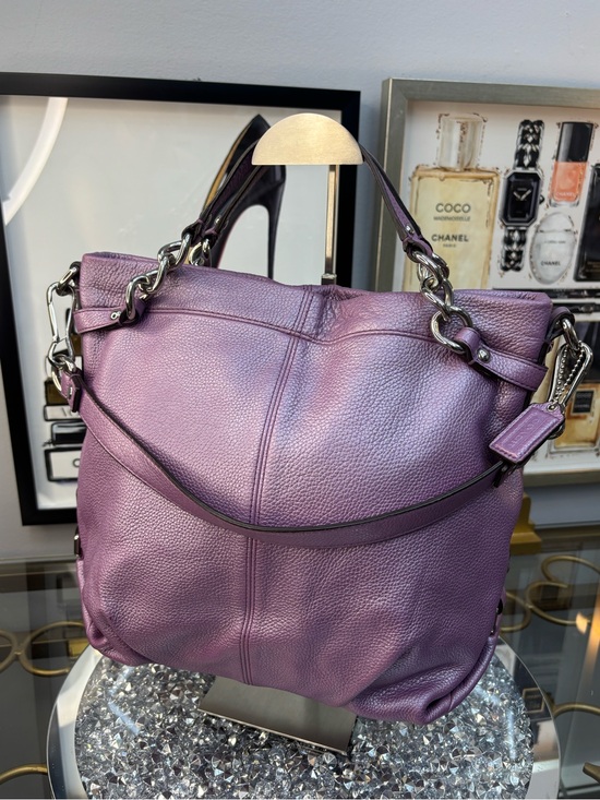Coach Handbags - Coach 2011 Brooke Metallic Leather Hobo Bag EUC